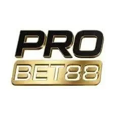 PROBET88 - Pertarungan Seru di Arena Tempur